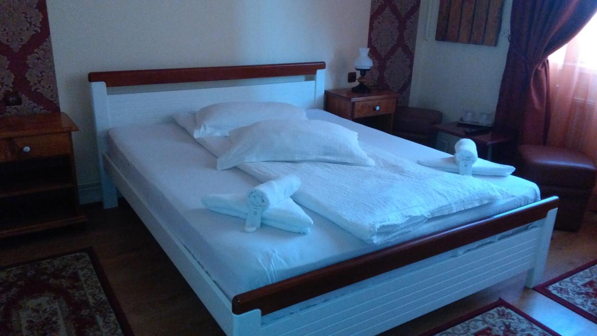 Vila Nicoleta Hotel Sibiu Ngoại thất bức ảnh