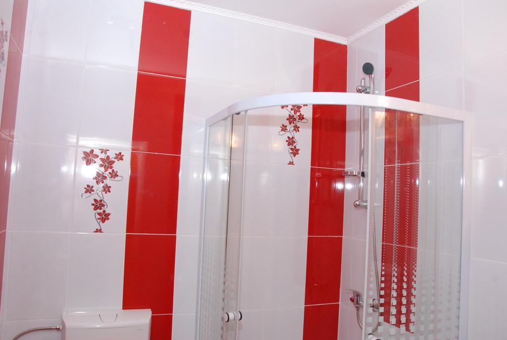 Vila Nicoleta Hotel Sibiu Ngoại thất bức ảnh
