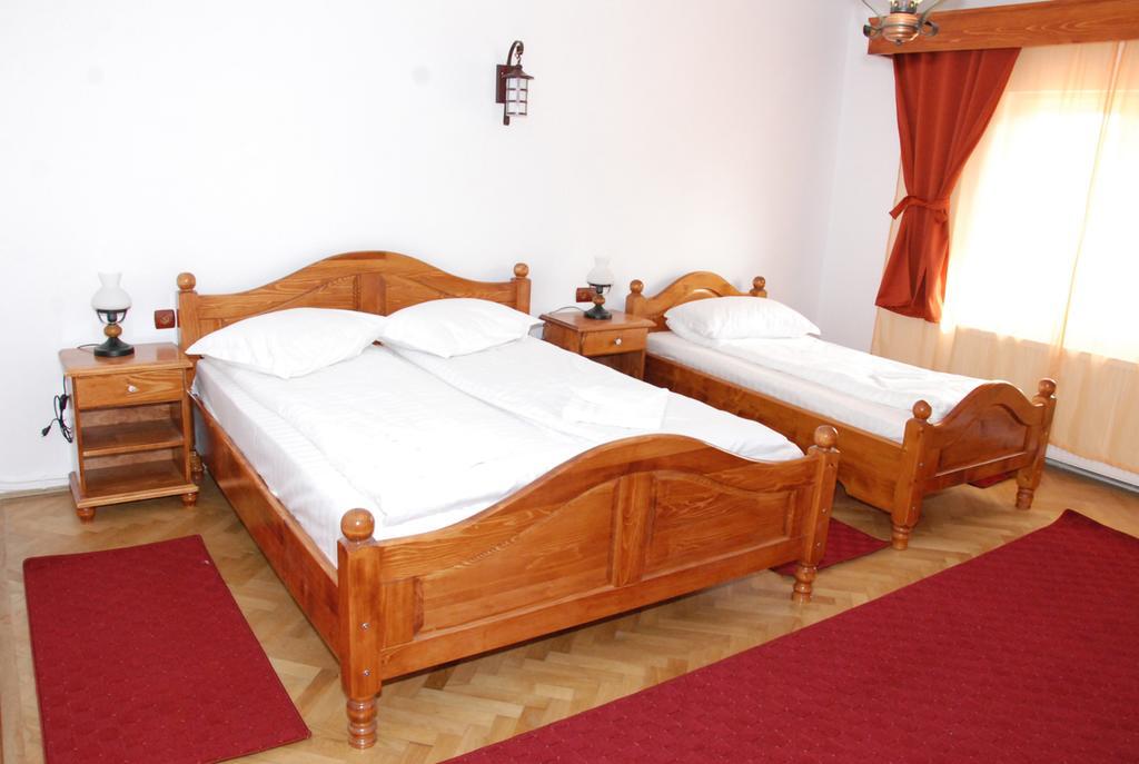 Vila Nicoleta Hotel Sibiu Ngoại thất bức ảnh