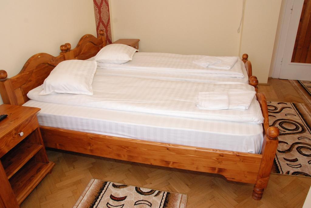 Vila Nicoleta Hotel Sibiu Ngoại thất bức ảnh